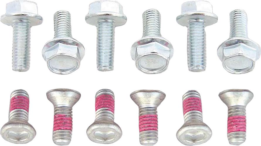 Rotor Bolts 12-pk