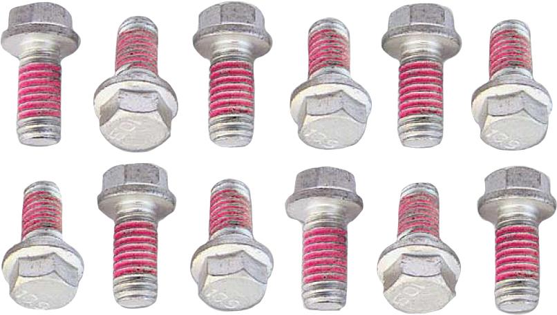 Rotor Bolts 6x13mm 12-pk