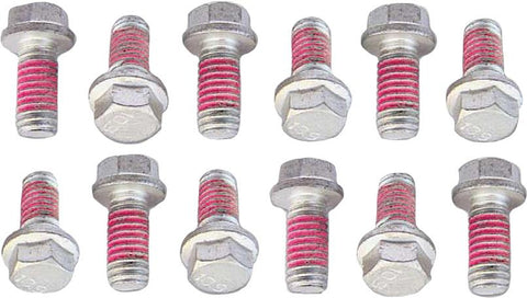 Rotor Bolts 6x13mm 12-pk