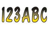 Series 200 Registration Kit (B Lack)