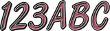 Series 400 Registration Kit (B Lack)