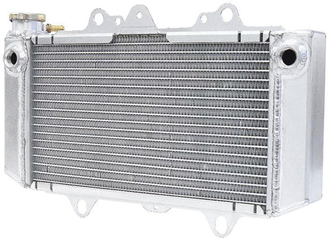 Power-flo Radiator