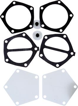 Fuel Pump Repair Kit Dual