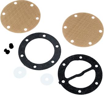 Fuel Pump Repair Kit Dual