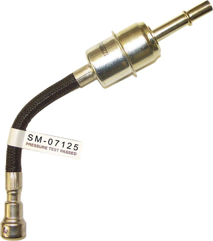 Spi Fuel Filter Assy Pol S-m
