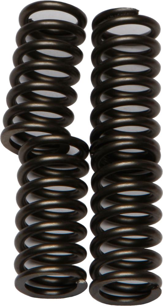 Clutch Springs