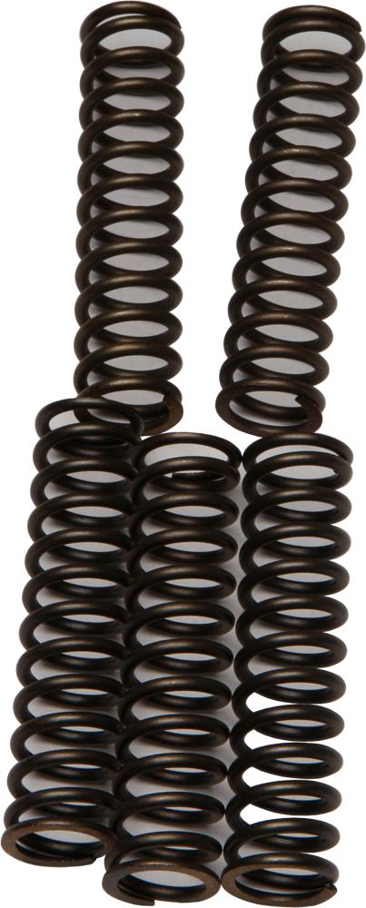Clutch Springs