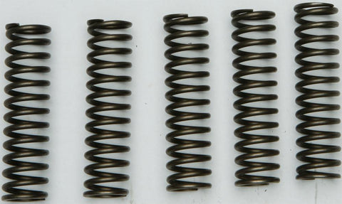 Clutch Spring Kit