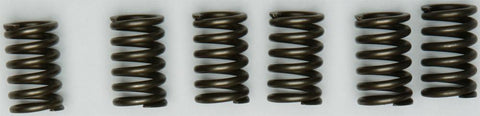 Clutch Spring Kit