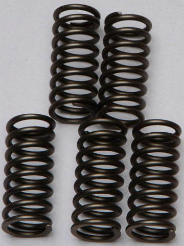 Clutch Springs