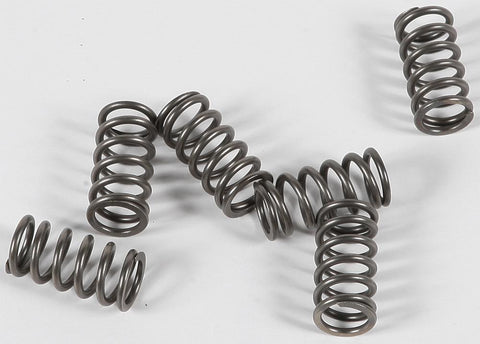 Clutch Springs