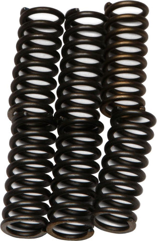 Clutch Springs