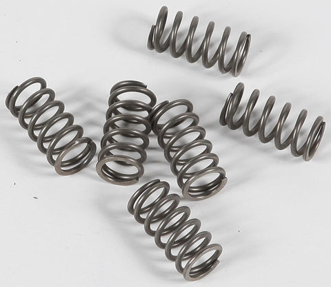 Clutch Springs
