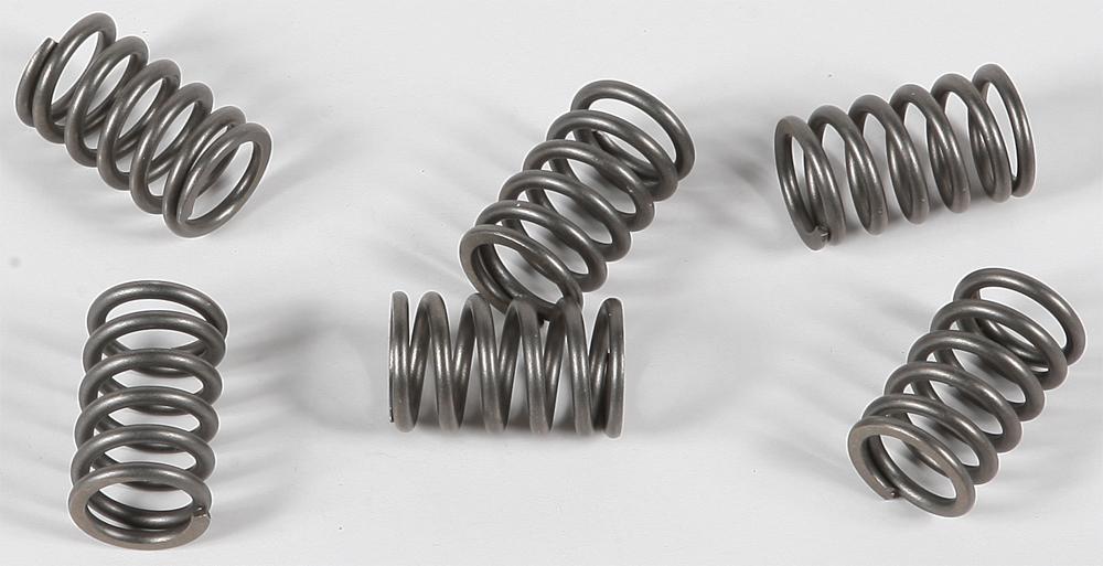 Clutch Spring Kit