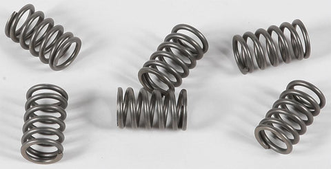 Clutch Spring Kit
