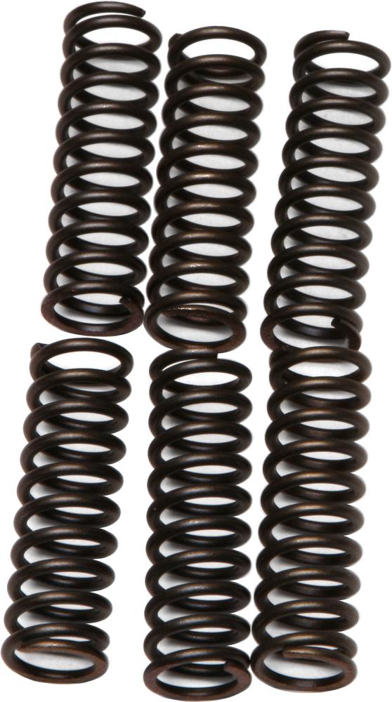 Clutch Springs