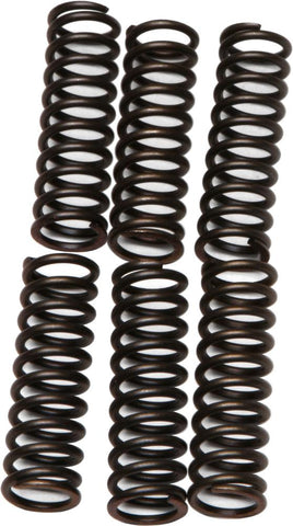 Clutch Springs