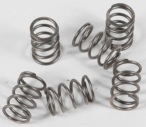 Clutch Springs