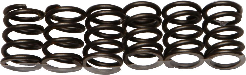 Clutch Springs