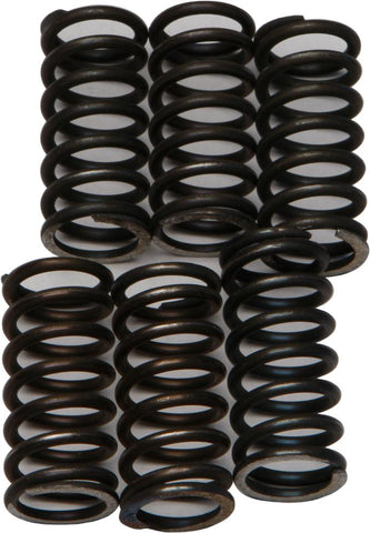 Clutch Springs