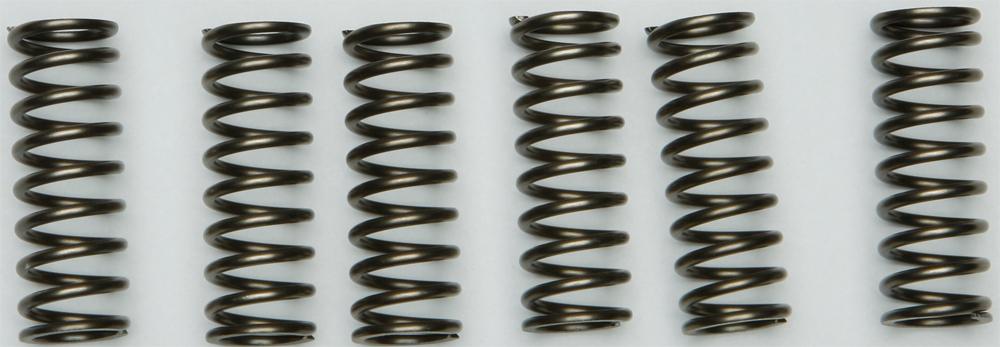 Clutch Spring Kit