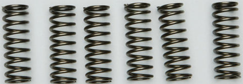 Clutch Spring Kit
