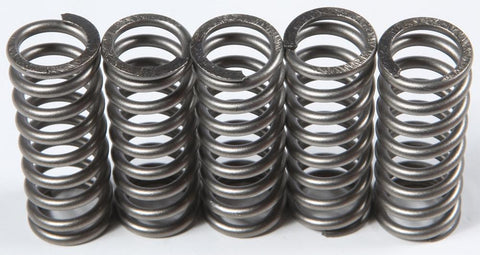 Clutch Springs