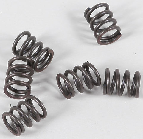 Clutch Springs