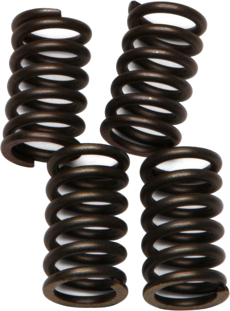 Clutch Springs