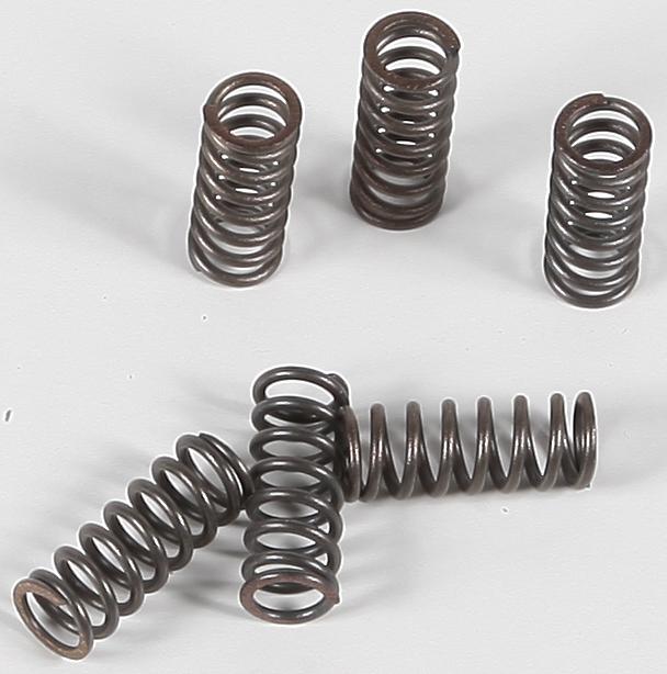 Clutch Springs