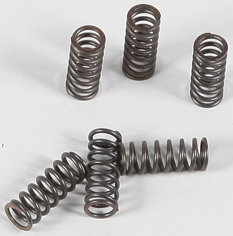 Clutch Springs