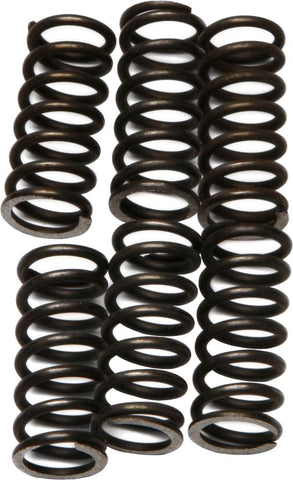 Clutch Springs