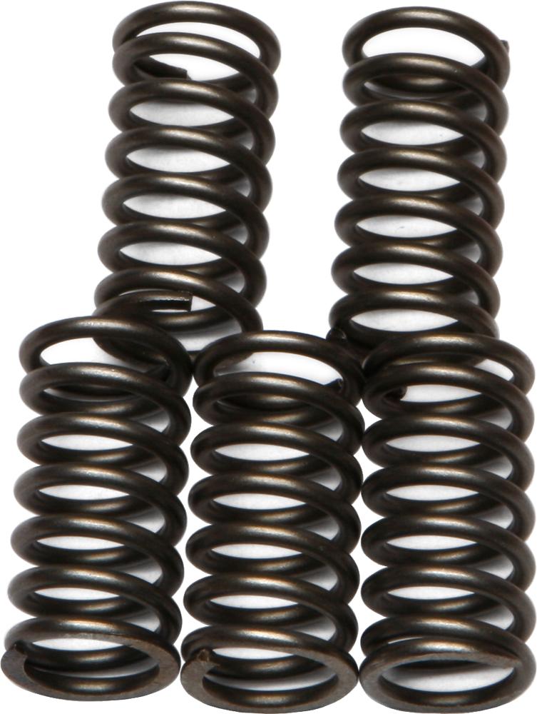 Clutch Springs