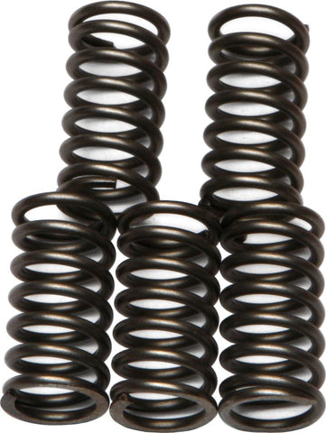 Clutch Springs