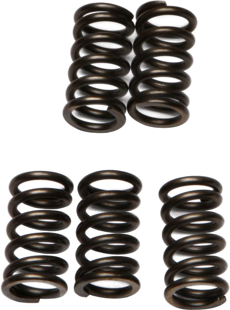 Clutch Springs