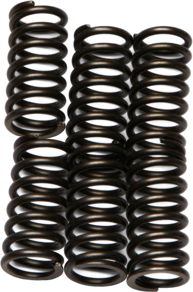 Clutch Springs
