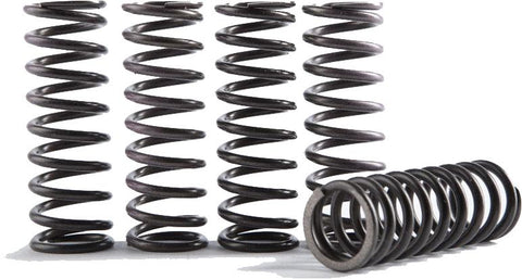 Hi-temp Clutch Spring Kit