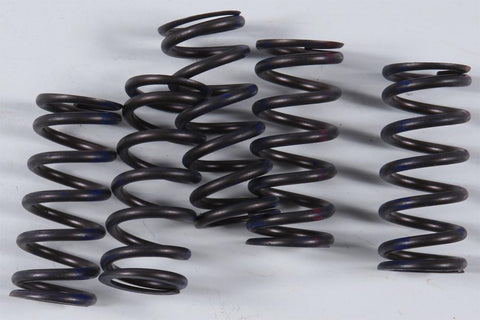 High Performance Spring Set