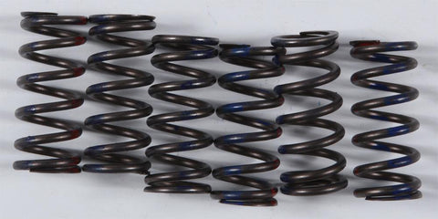High Performance Spring Set