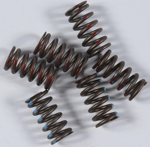 High Performance Spring Set