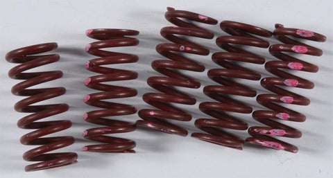 High Performance Spring Set