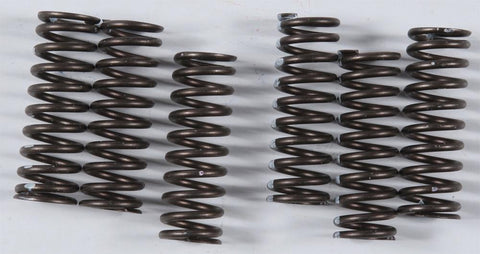 High Performance Spring Set
