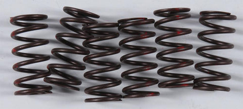 High Performance Spring Set