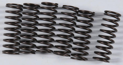 High Performance Spring Set