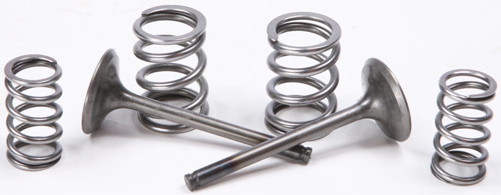 Steel Exhaust Valve Spring Kit