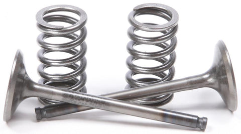 Steel Exhaust Valve-spring Kit Yz-wr450f '03-09-yfz450 '04-0