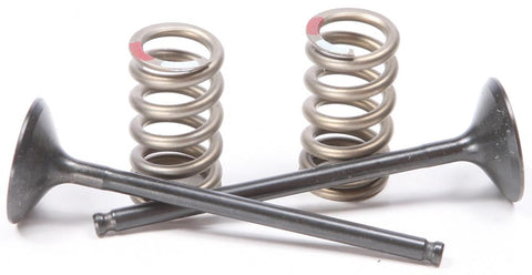 Steel Exhaust Valve Spring Kit