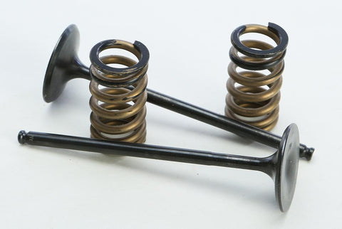 Steel Intake Valve-spring Kit Ktm