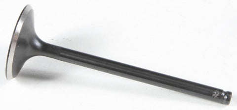 Black Diamond Intake Valve