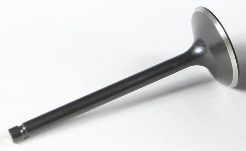 Black Diamond Intake Valve